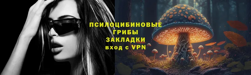 даркнет сайт  даркнет клад  KRAKEN зеркало  Галлюциногенные грибы Magic Shrooms  Красноармейск 